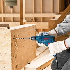 Bosch Professional GBM 10 RE Darbesiz Matkap